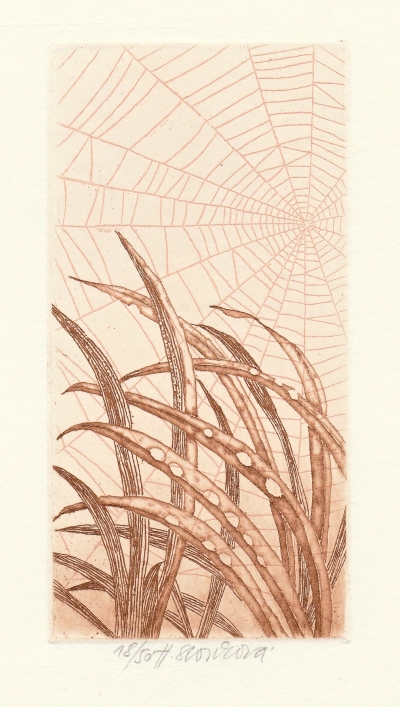 Storchová Hana (1936) : Zlatá tráva
