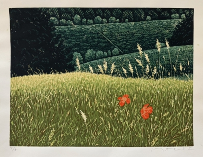 Macek Pavel  : Vlčí máky