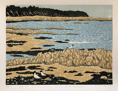 Macek Pavel  : Pobřeží s racky